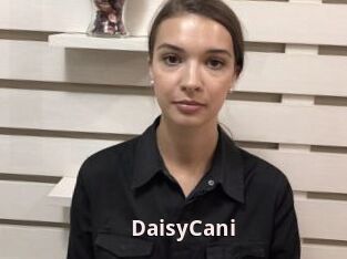 DaisyCani
