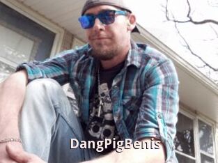 DangPigBenis