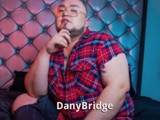 DanyBridge