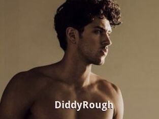 DiddyRough