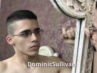 DominicSullivan