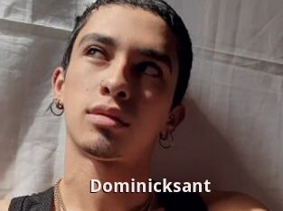 Dominicksant