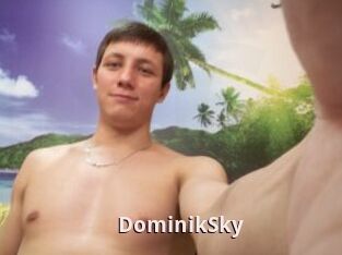 DominikSky