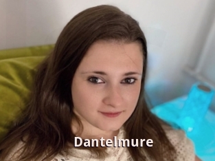 Dantelmure