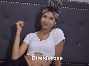 Dileidyrose