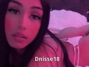 Dnisse18