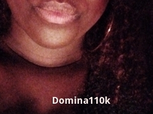 Domina110k