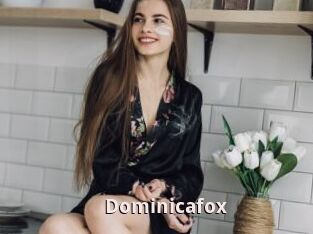 Dominicafox