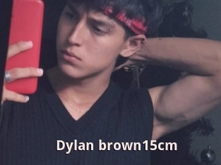 Dylan_brown15cm