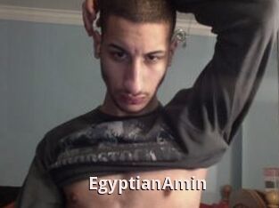 EgyptianAmin