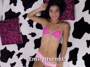 EmilyHornetS