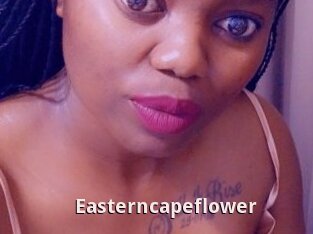 Easterncapeflower