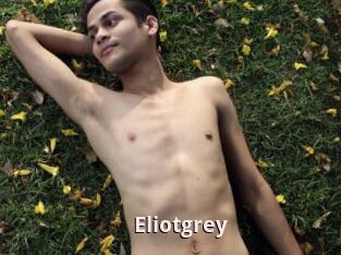 Eliotgrey