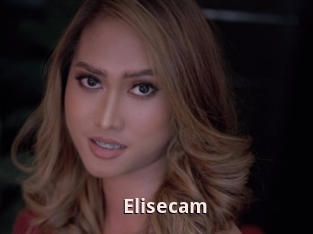 Elisecam