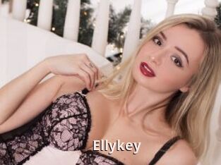Ellykey