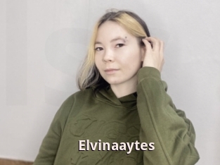 Elvinaaytes