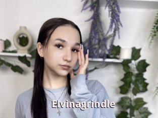 Elvinagrindle