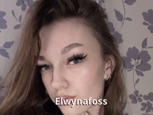 Elwynafoss