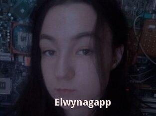 Elwynagapp