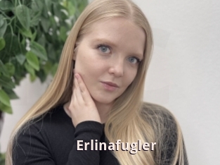 Erlinafugler