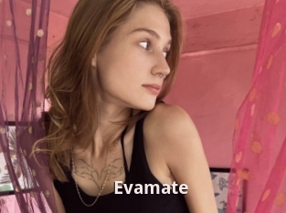 Evamate