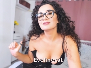 Evelinecat