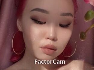 FactorCam