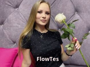 FlowTes