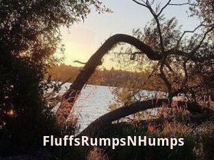 FluffsRumpsNHumps