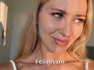Felicecam