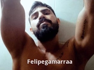 Felipegamarraa