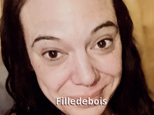 Filledebois