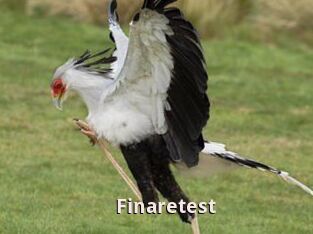 Finaretest