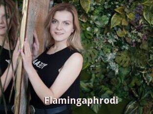 Flamingaphrodi