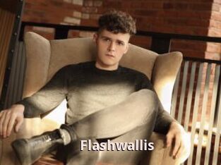 Flashwallis