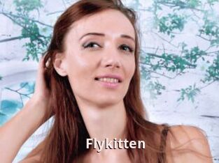 Flykitten
