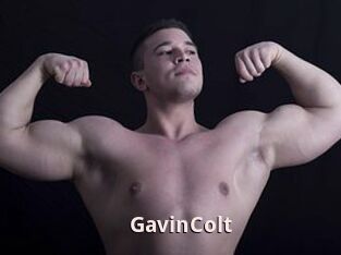 GavinColt