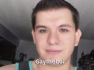Gaymeboi