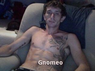 Gnomeo