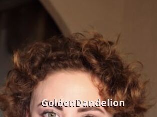 GoldenDandelion
