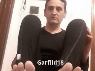 Garfild18