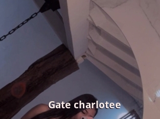 Gate_charlotee
