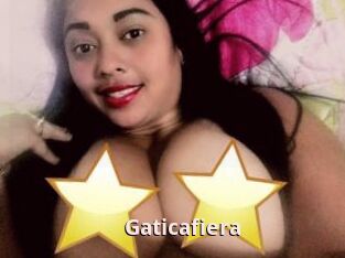 Gaticafiera