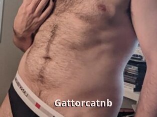 Gattorcatnb
