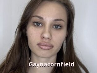 Gaynacornfield