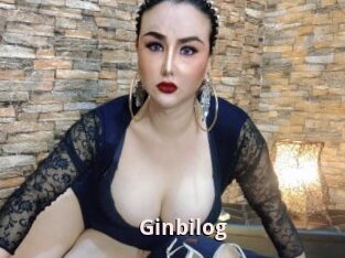 Ginbilog