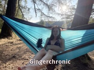 Gingerchronic