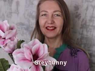 Greybunny