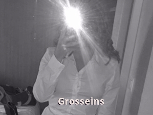 Grosseins