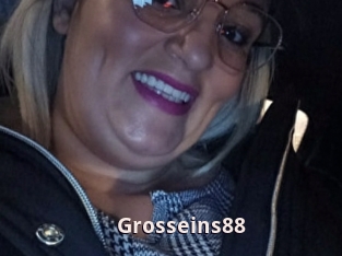 Grosseins88